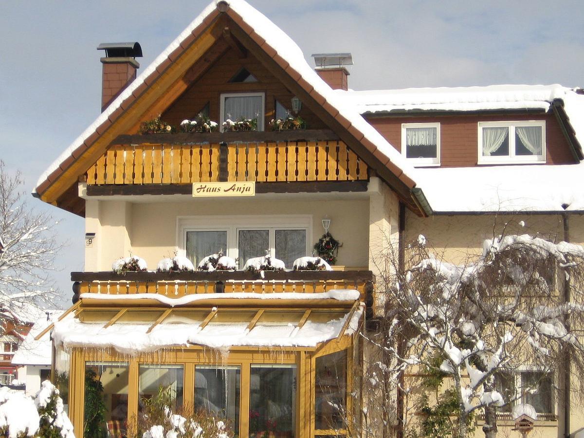 Haus Anja Apartment Titisee-Neustadt Exterior photo