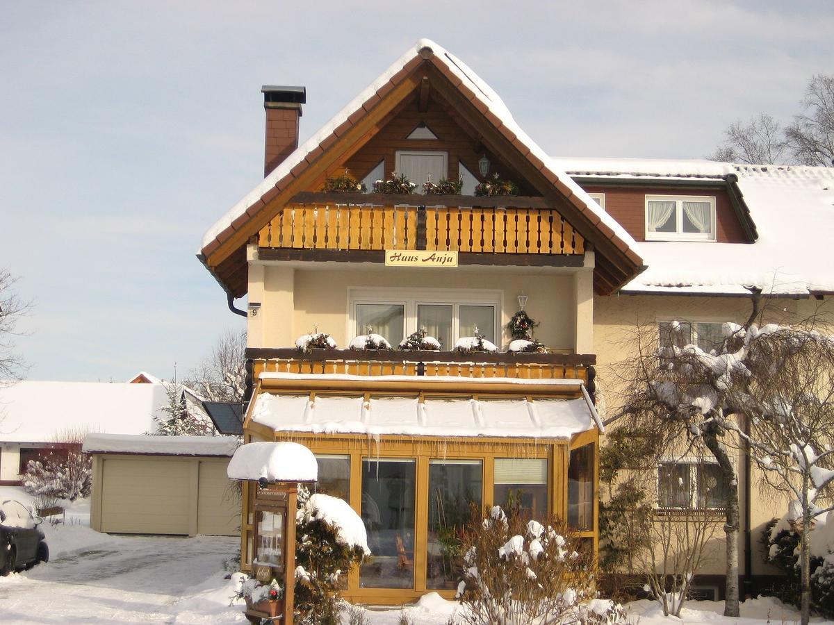 Haus Anja Apartment Titisee-Neustadt Exterior photo